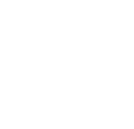 shape01
