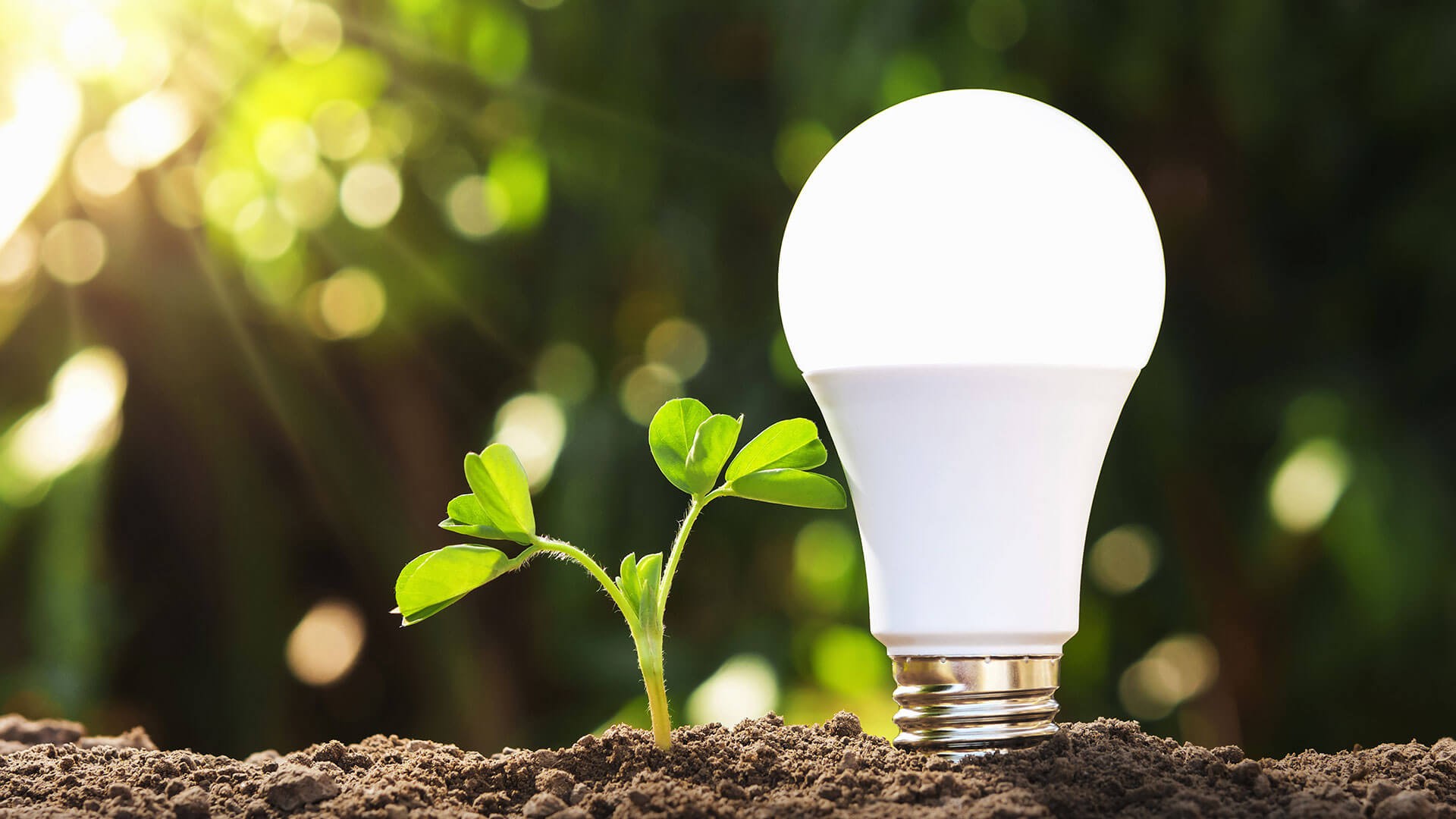 Ánh Sáng LED - Nâng Tầm Cuộc Sống